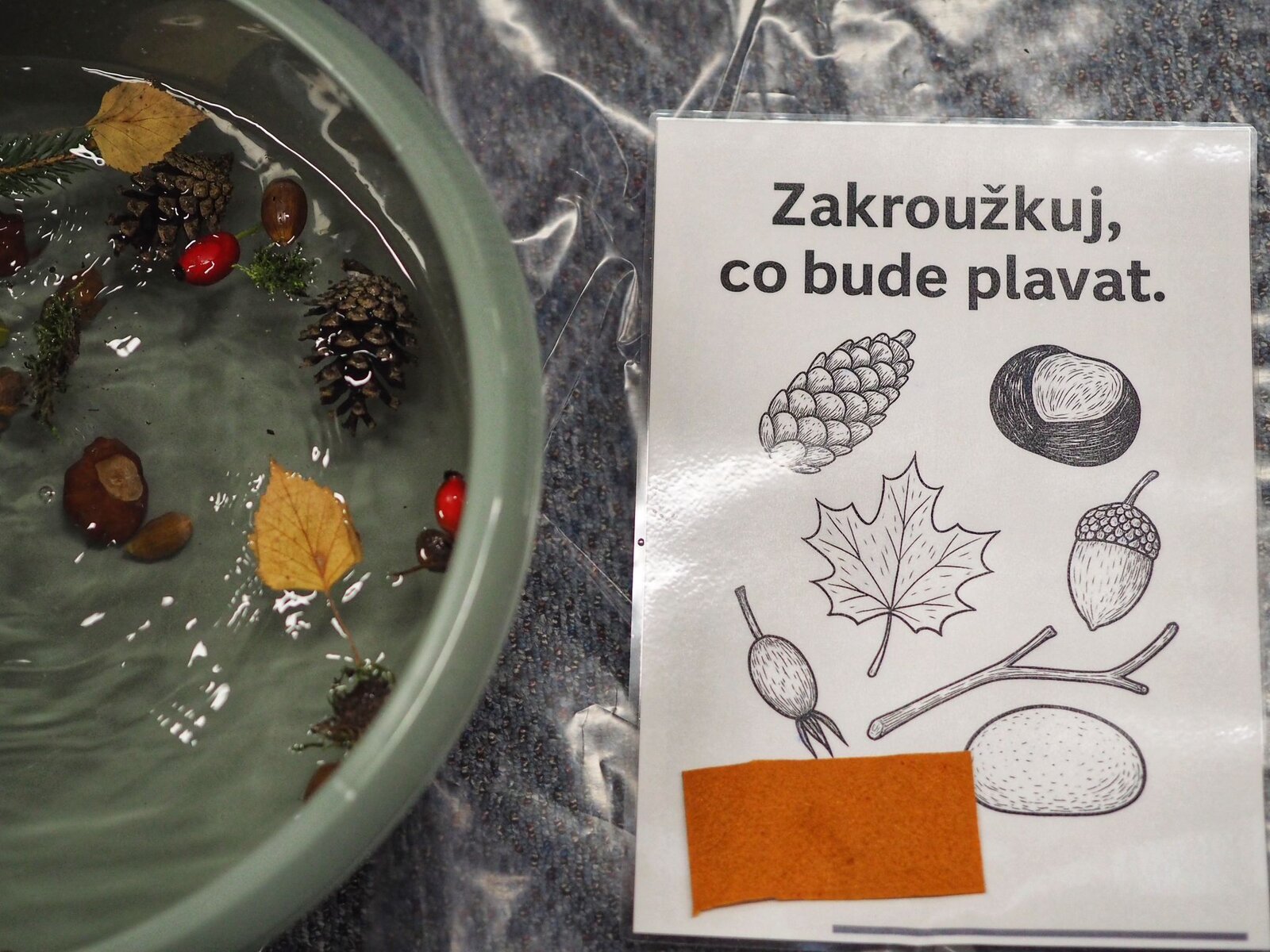 Pokus s přírodninami a vodou